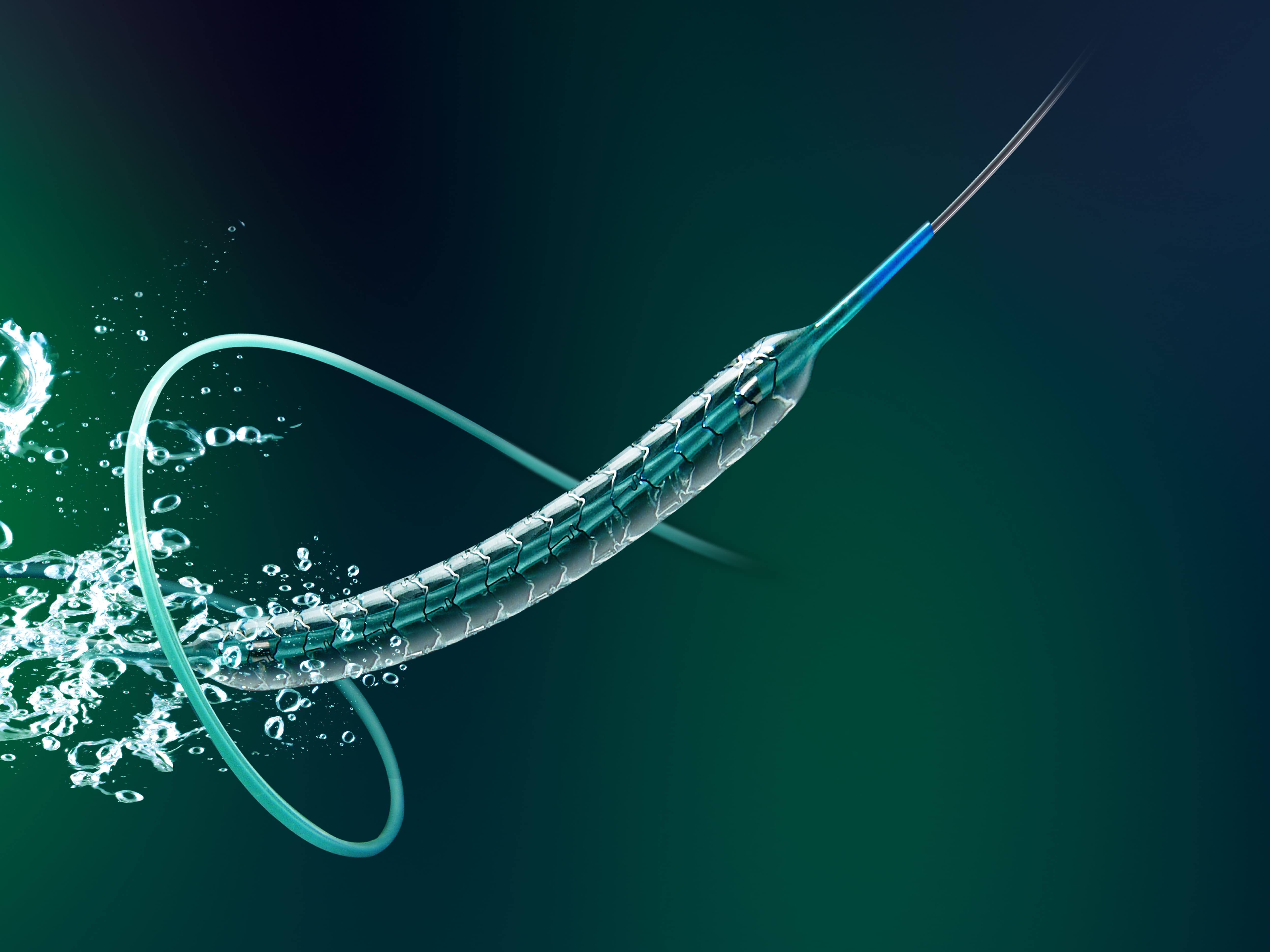 Firebird2 Rapamycin-Eluting Coronary CoCr Stent System ú¿1ú®.jpg